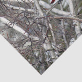 Papier Mousseline Photo Cardinal Snow Birch Tree (Détail)