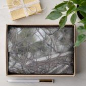 Papier Mousseline Photo Cardinal Snow Birch Tree (Cadeau)