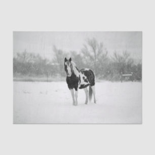 Papier Mousseline Photo Cheval noir et blanc Neige