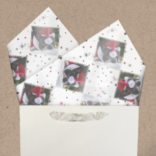 Papier Mousseline Photo Couleur Correspondant Neige & Étoiles Anim