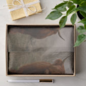 Papier Mousseline Photo de brouillard de bovins Highland (Cadeau)