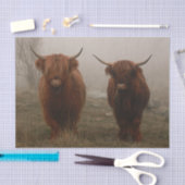 Papier Mousseline Photo de brouillard de bovins Highland (Artisanat)