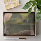 Papier Mousseline Photo de Cute Little Orange Fox (Cadeau)