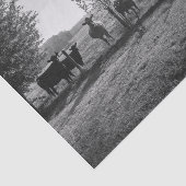 Papier Mousseline Photo de découpage des vaches de champ noir et bla (Détail)