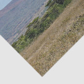 Papier Mousseline Photo de girafe de la faune mère et bébé (Détail)