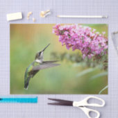 Papier Mousseline Photo de la flore des colibris (Artisanat)