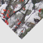 Papier Mousseline Photo de l'écureuil Red Berries Snow Tree (Détail)