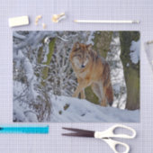 Papier Mousseline Photo de neige du loup sauvage (Artisanat)