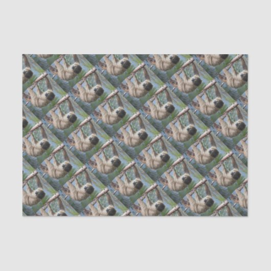 Papier Mousseline Photo de paresse (Recto)