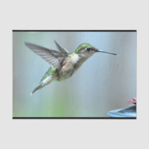 Papier Mousseline Photo de vol écologique de colibri Faune