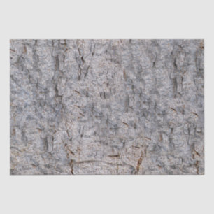 Papier Mousseline Photo d'écorce d'arbre de nature