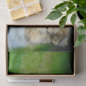 Papier Mousseline Photo du chien de mouton de Cute Shetland (Cadeau)