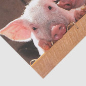 Papier Mousseline Photo d'un animal de porcelets roses mignons (Détail)
