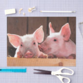 Papier Mousseline Photo d'un animal de porcelets roses mignons (Artisanat)