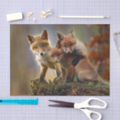 Papier Mousseline Photo Fox Kits (Artisanat)