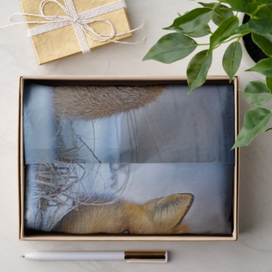 Papier Mousseline Photo Fox Sleeping Snow (Cadeau)
