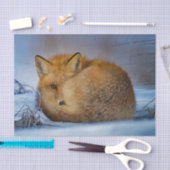 Papier Mousseline Photo Fox Sleeping Snow (Artisanat)