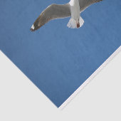 Papier Mousseline Photo Inspiration bleu gris blanc de mouette (Détail)