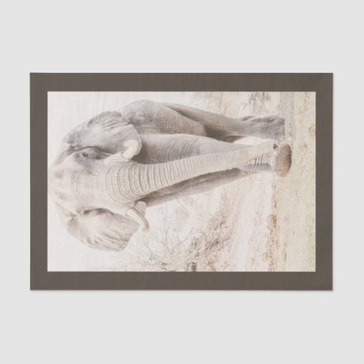 Papier Mousseline Photo majestueuse d'éléphant africain (Recto)