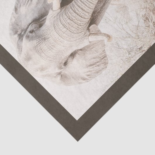 Papier Mousseline Photo majestueuse d'éléphant africain (Détail)