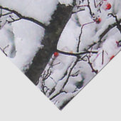 Papier Mousseline Photo Red Cardinal Snow Tree (Détail)
