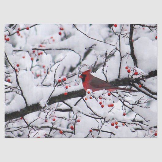Papier Mousseline Photo Red Cardinal Snow Tree (Recto)