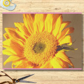 Papier Mousseline Photo tournesol