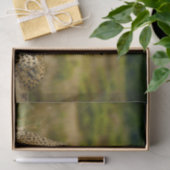 Papier Mousseline Photo Wildlife Cheetah (Cadeau)