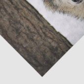 Papier Mousseline Photo Wolf Snow Tree (Détail)