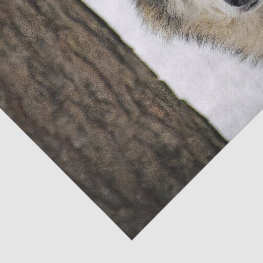 Papier Mousseline Photo Wolf Snow Tree (Détail)