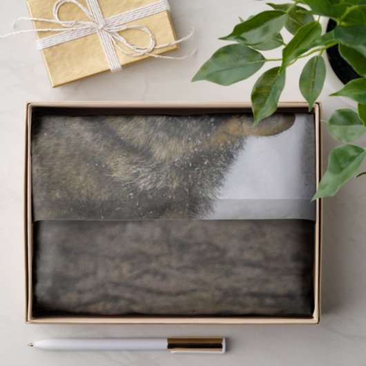 Papier Mousseline Photo Wolf Snow Tree (Cadeau)