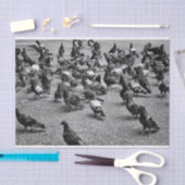 Papier Mousseline Photographie noire et blanche de beaucoup de (Artisanat)