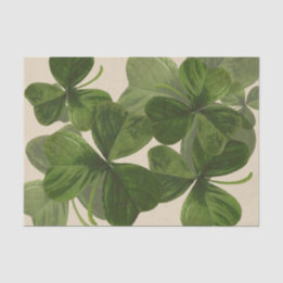 Papier Mousseline Photos botaniques de shamrock sur la couleur faite