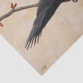 Papier Mousseline Pic pilé perché sur une branche d'arbre (Détail)