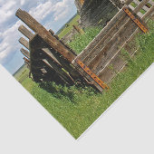 Papier Mousseline Picket clôture partiellement enfermant une petite  (Détail)