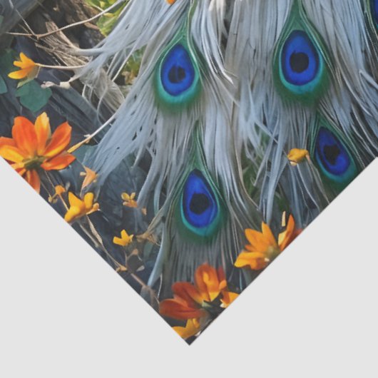 Papier Mousseline Piebald Peacock on Split rail fence (Détail)