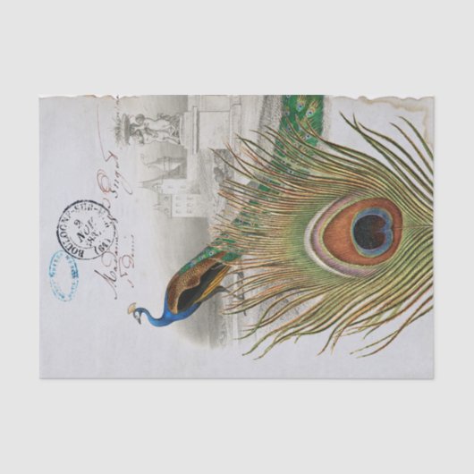 Papier Mousseline Pièce Peacock Oiseau Bleu Postmark Français Châtea (Recto)