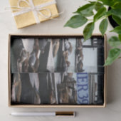 Papier Mousseline Pier 39 Sea Lions (Cadeau)