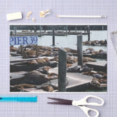 Papier Mousseline Pier 39 Sea Lions (Artisanat)