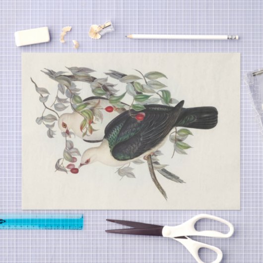 Papier Mousseline Pigeon à tête blanche, Découpage (Artisanat)