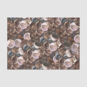 Papier Mousseline Pile de coton - Un Cent Penny Spread Arrière - pla