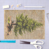 Papier Mousseline Pin, arbre de cèdre, art de dictionnaire d'arbre (Artisanat)
