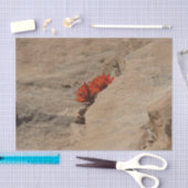 Papier Mousseline Pinceau indien en roche à Sion (Artisanat)