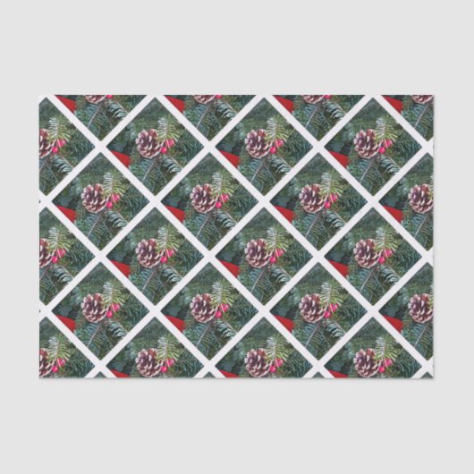 Papier Mousseline Pine de vacances (Recto)