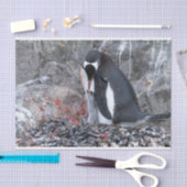 Papier Mousseline Pingouin (Artisanat)