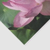Papier Mousseline Pink Lotus Flower IV (Détail)