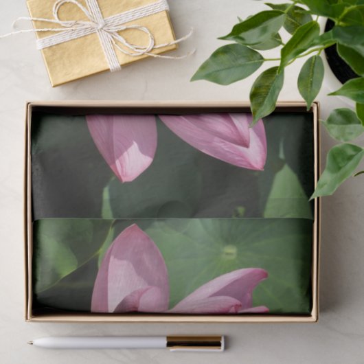 Papier Mousseline Pink Lotus Flower IV (Cadeau)
