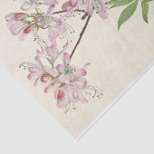 Papier Mousseline Pinkshell Azalea par Mary Vaux Walcott (Détail)