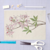 Papier Mousseline Pinkshell Azalea par Mary Vaux Walcott (Artisanat)