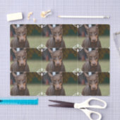 Papier Mousseline Pinscher adorable de dobermann (Artisanat)